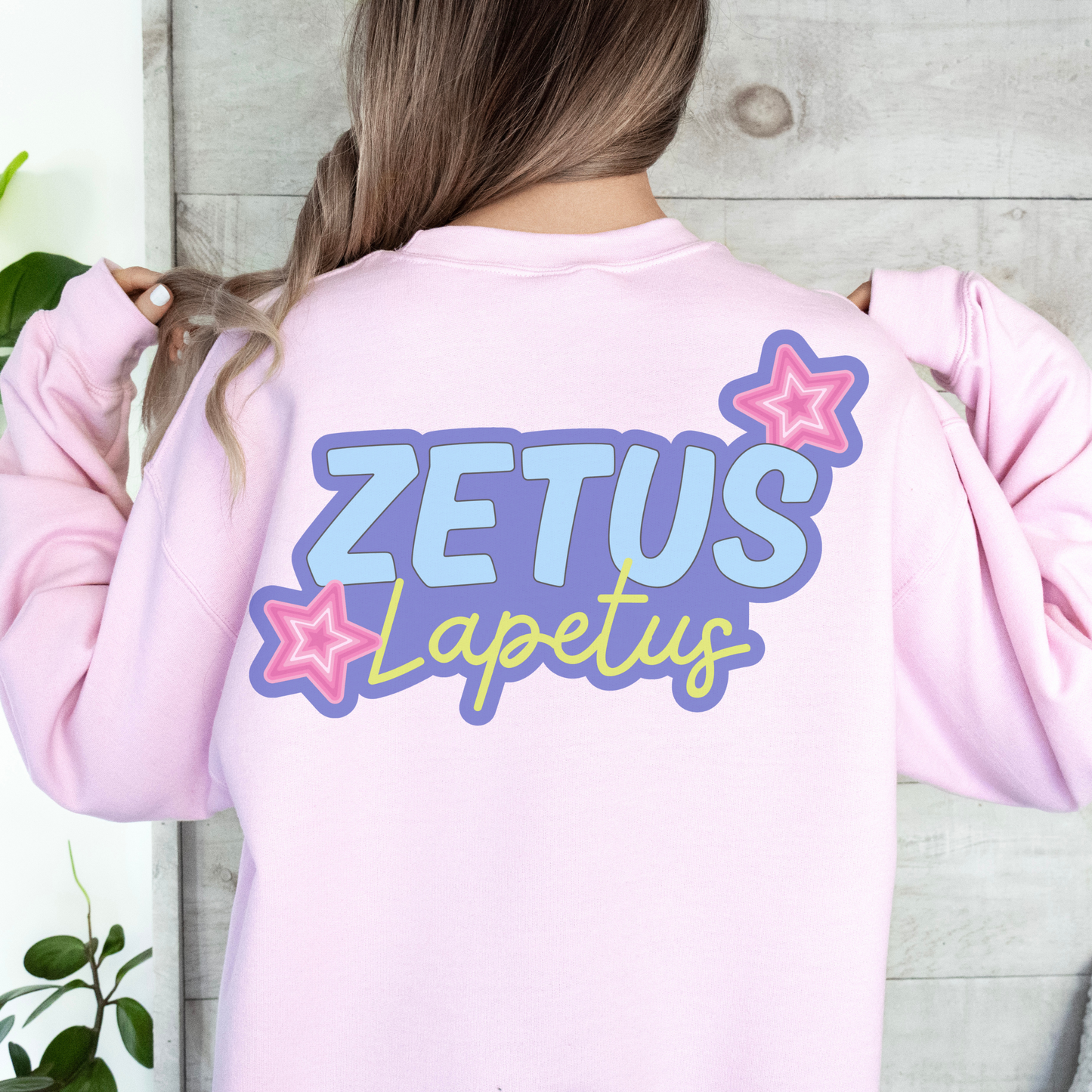 Zetus Retro Sweatshirt