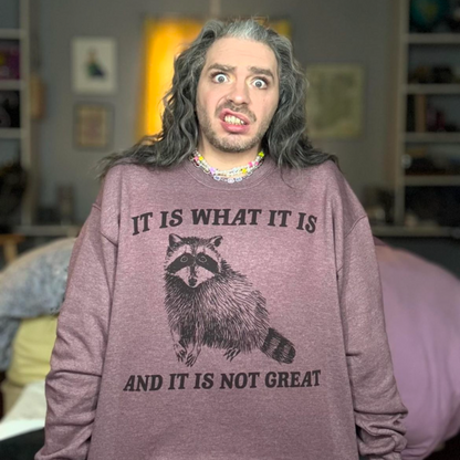 It Is What It Is And It Is Not Great Retro Sweatshirt