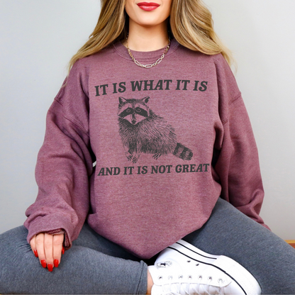 It Is What It Is And It Is Not Great Retro Sweatshirt